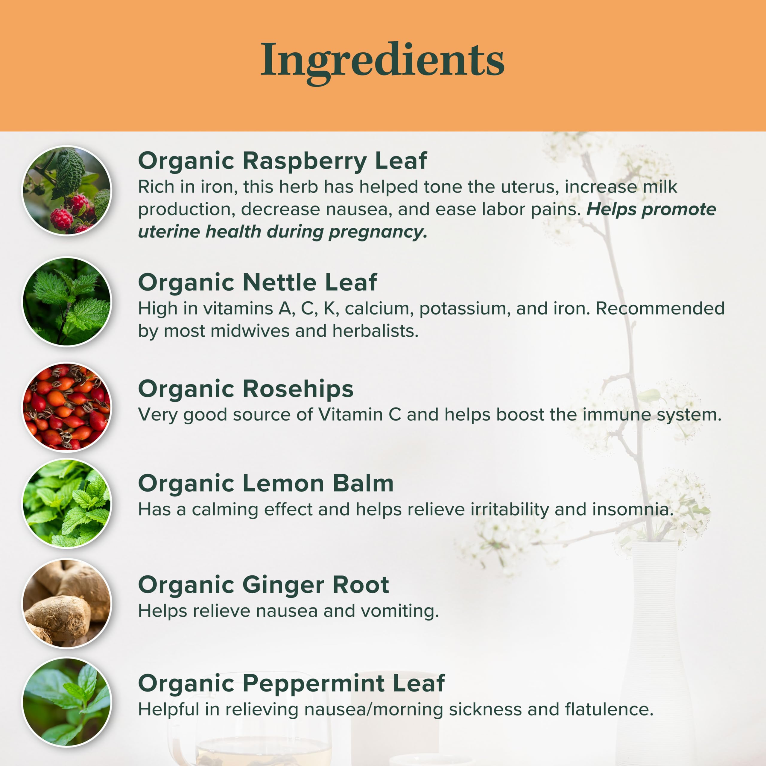 Jade Tea - Organic Third Trimester Tea | Pregnancy Tea - Toning & Birth Preparation | Maximized Uterine Health for Labor & Postpartum Recovery | Caffeine-Free, Fair Trade, Sustainable, Made In USA