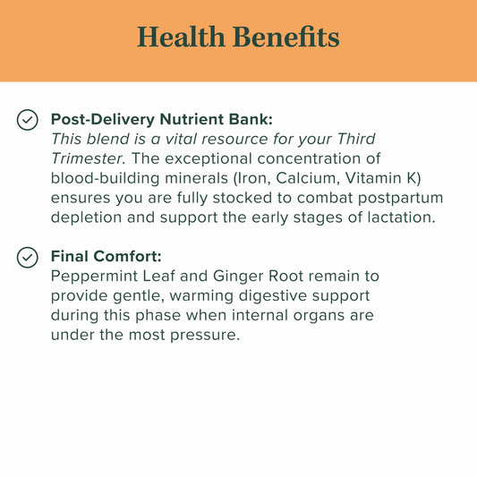 Jade Tea - Organic Pregnancy Tea - Third Trimester Tea | Toning & Birth Preparation | Maximized Uterine Health for Labor & Postpartum Recovery | Caffeine-Free, Fair Trade, Sustainable, Made In USA