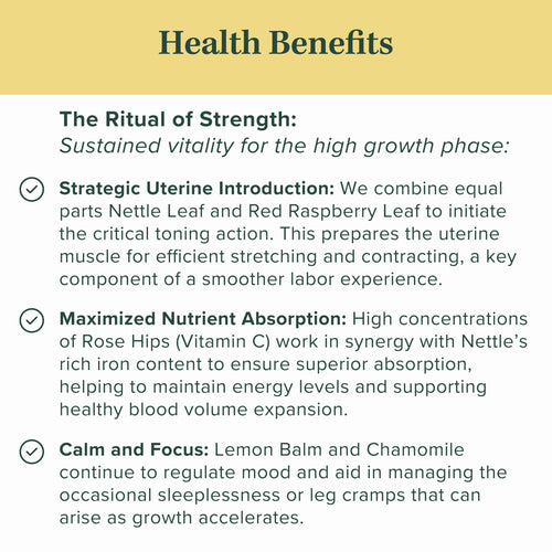 Jade Tea - Organic Second Trimester Pregnancy Tea | Uterine Toning Prep & Sustained Prenatal Mineral Support | Caffeine-Free, Fair Trade, Sustainable, Made In USA