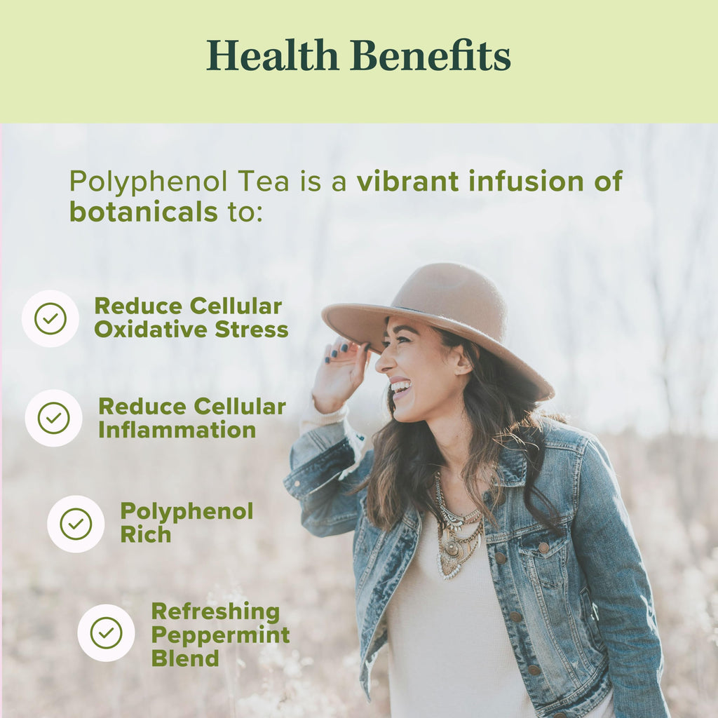 Organic Polyphenol Tea – Made in USA, Fair Trade, Sustainable Practices – 1 Pack of 25 Biodegradable Tea Bags