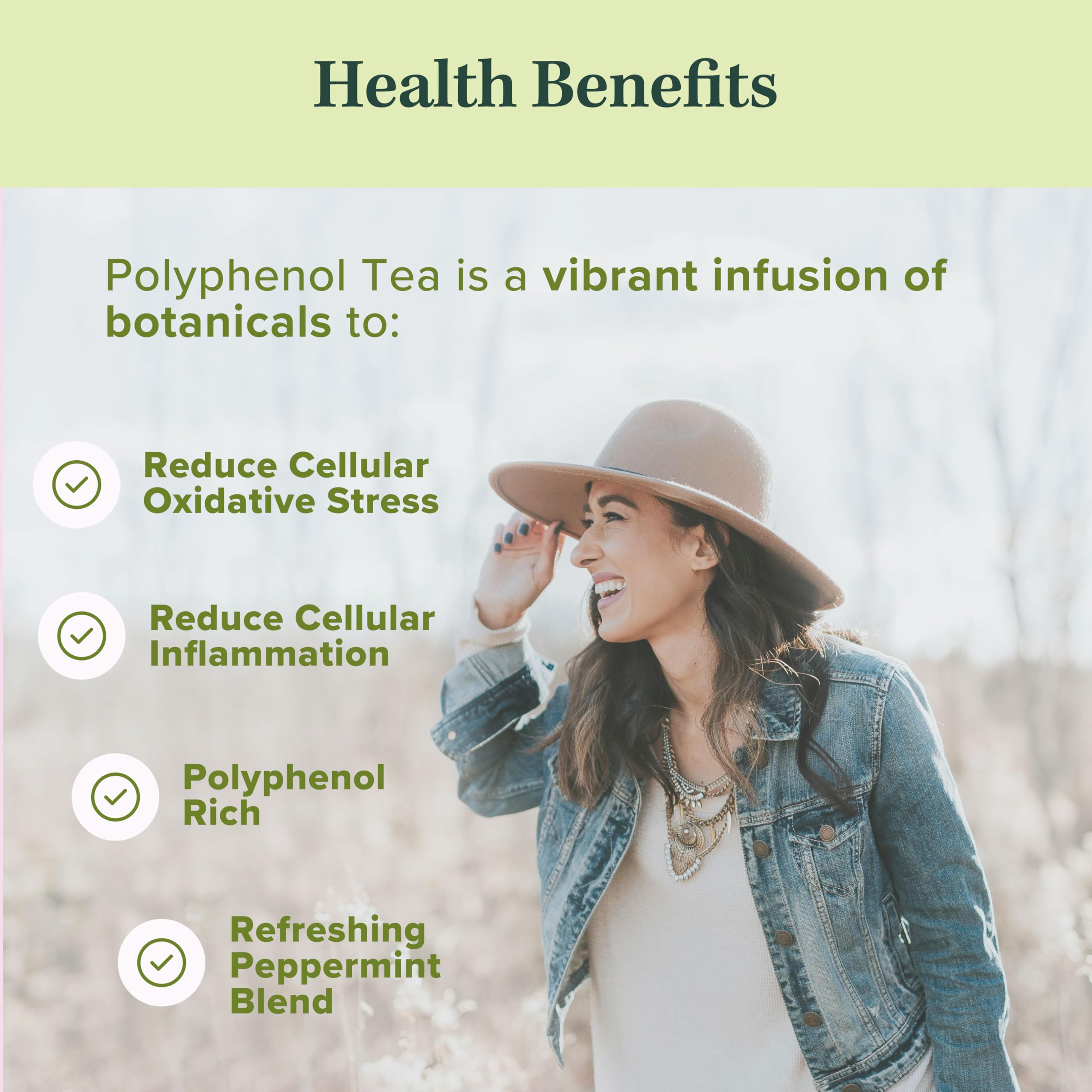 Organic Polyphenol Tea – Made in USA, Fair Trade, Sustainable Practices – 1 Pack of 25 Biodegradable Tea Bags