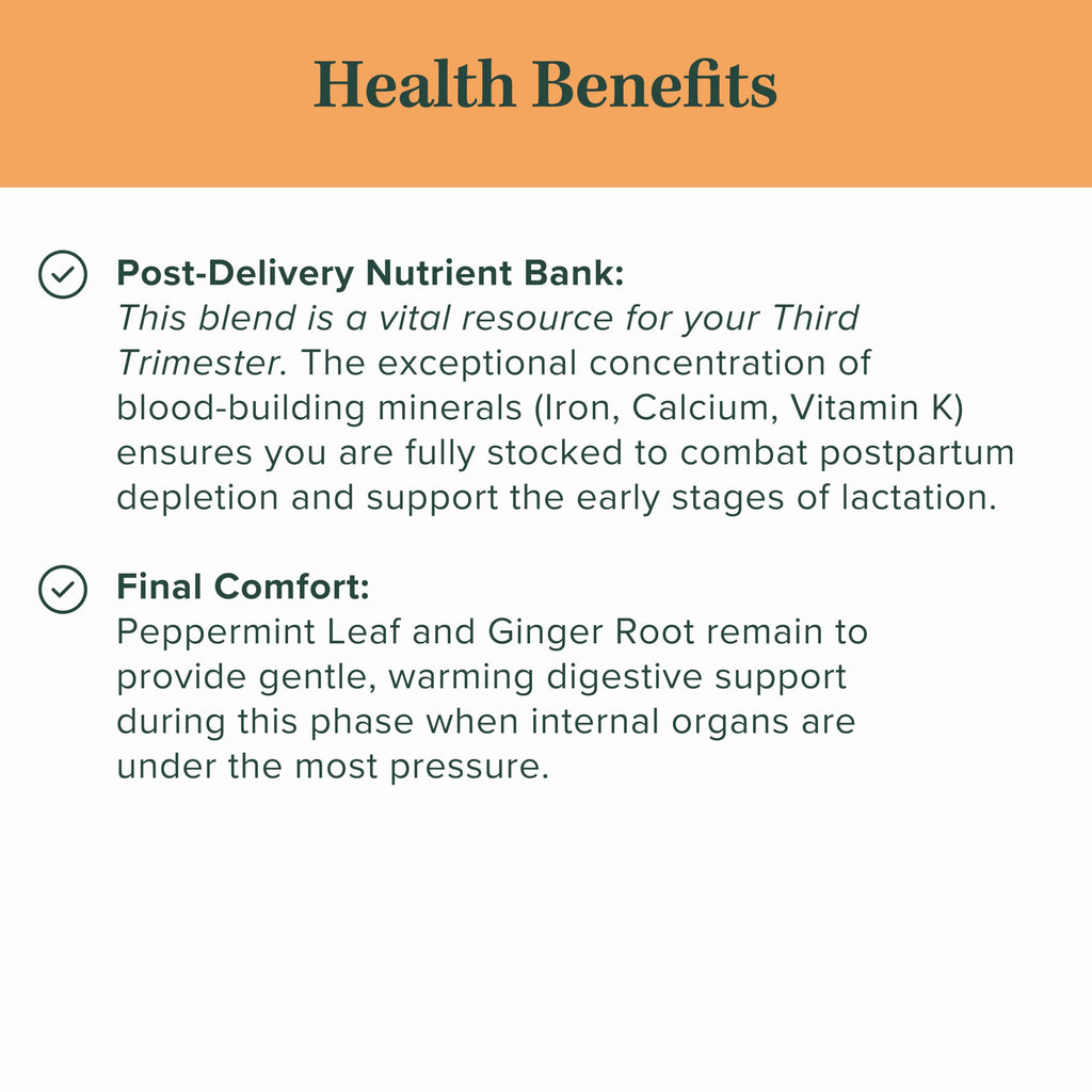 Jade Tea - Organic Third Trimester Tea | Pregnancy Tea - Toning & Birth Preparation | Maximized Uterine Health for Labor & Postpartum Recovery | Caffeine-Free, Fair Trade, Sustainable, Made In USA