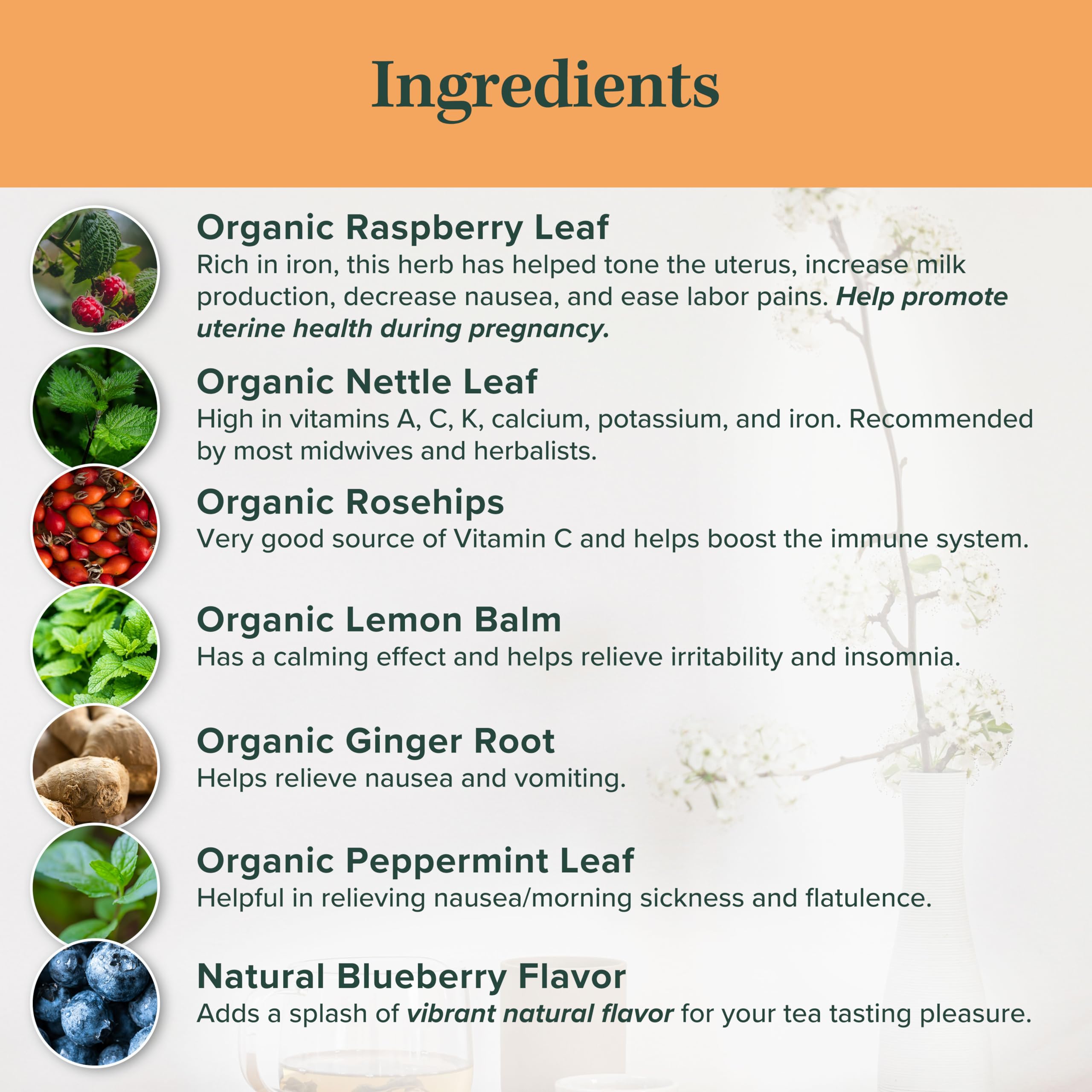 Jade Tea - Organic Pregnancy Tea - Third Trimester Tea | Toning & Birth Preparation | Maximized Uterine Health for Labor & Postpartum Recovery | Caffeine-Free, Fair Trade, Sustainable, Made In USA