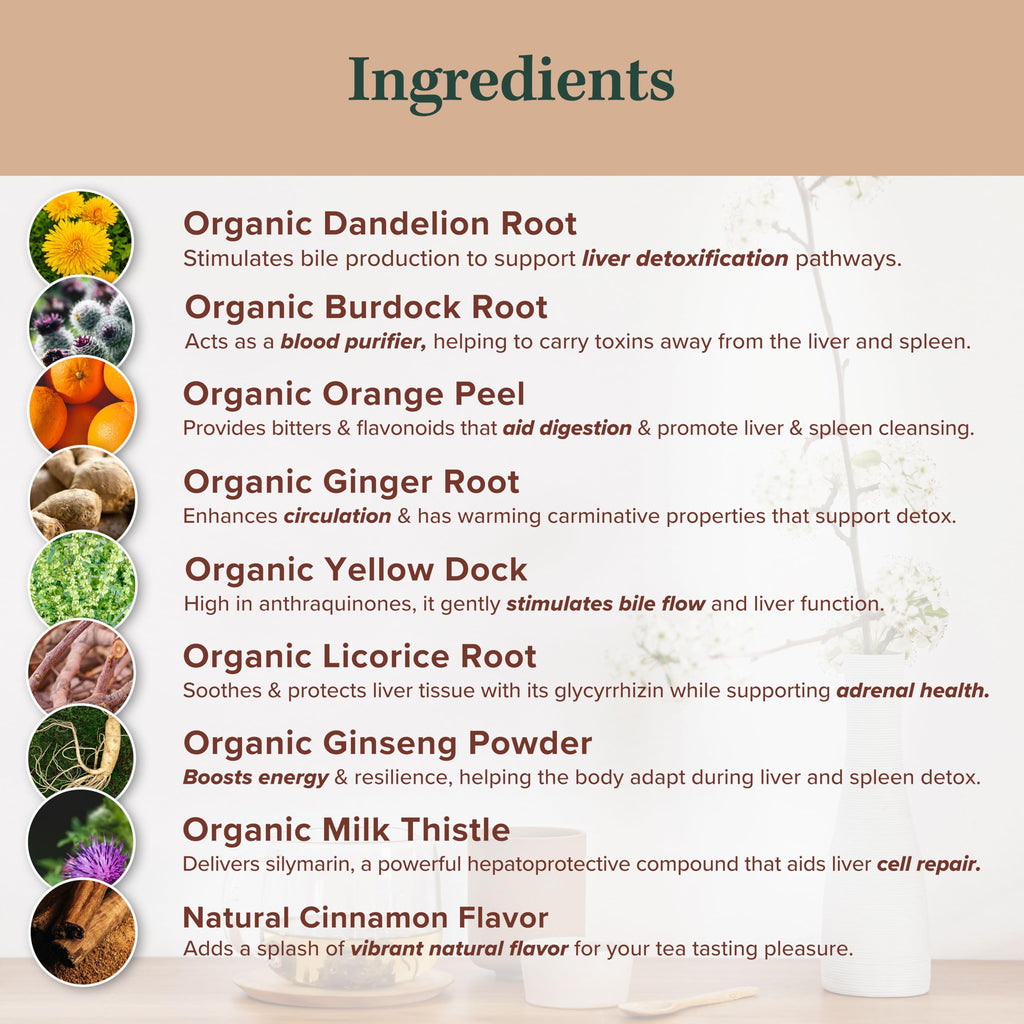 Jade Tea Organic Dandelion Root Tea For Liver Detox & Spleen Detox - Burdock Root, Ginger Root, & Orange Peel - Supports Liver, Gallbladder & Spleen Health - Apple Cinnamon Flavor