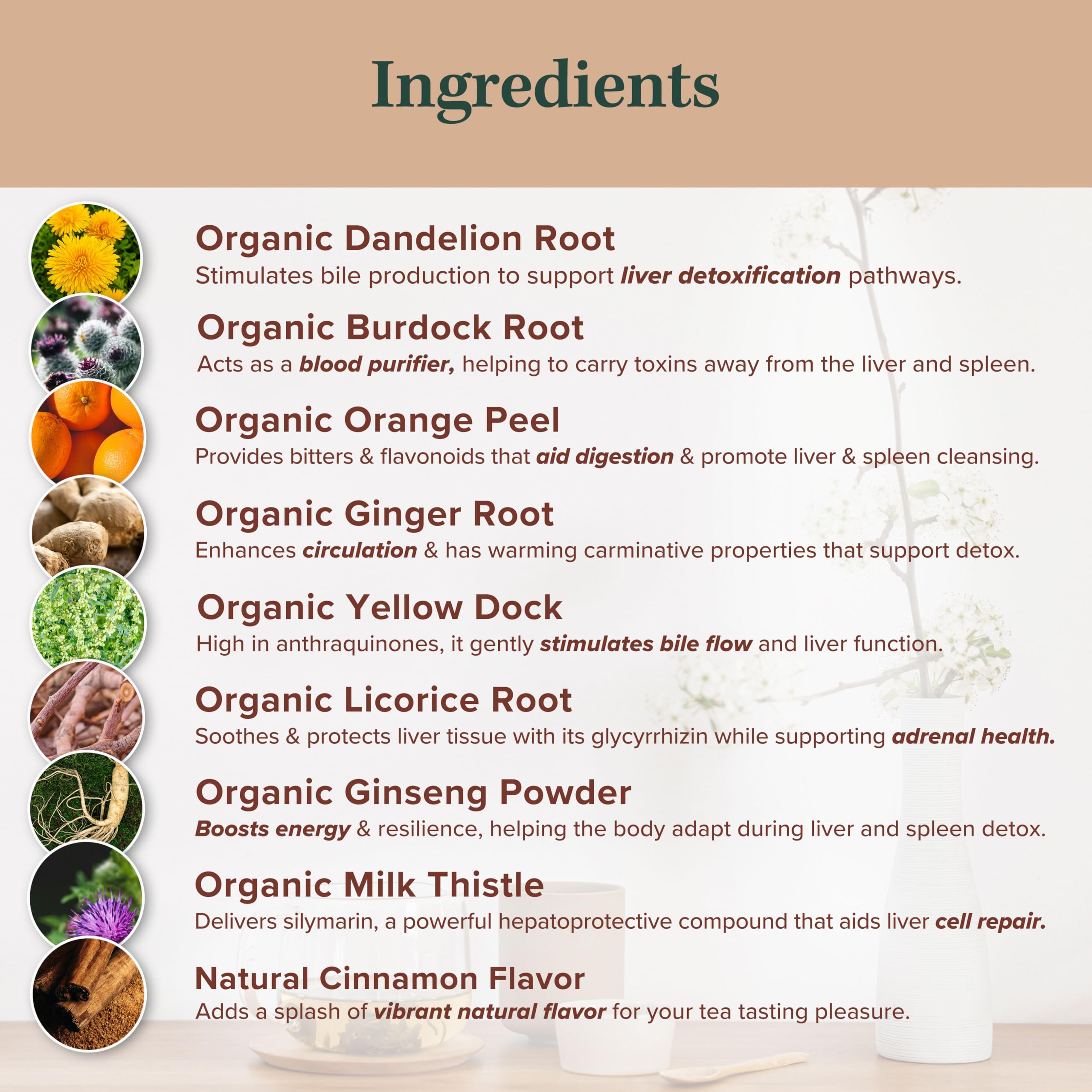 Jade Tea Organic Dandelion Root Tea For Liver Detox & Spleen Detox - Burdock Root, Ginger Root, & Orange Peel - Supports Liver, Gallbladder & Spleen Health - Apple Cinnamon Flavor