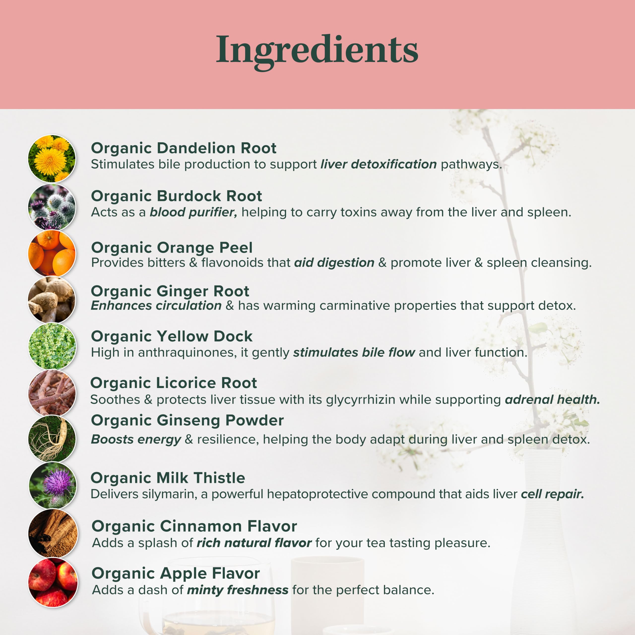 Jade Tea Organic Dandelion Root Tea For Liver Detox & Spleen Detox - Burdock Root, Ginger Root, & Orange Peel - Supports Liver, Gallbladder & Spleen Health - Apple Cinnamon Flavor