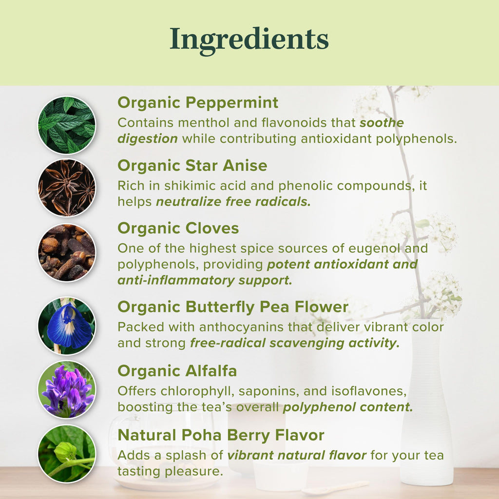 Organic Polyphenol Tea – Made in USA, Fair Trade, Sustainable Practices – 1 Pack of 25 Biodegradable Tea Bags