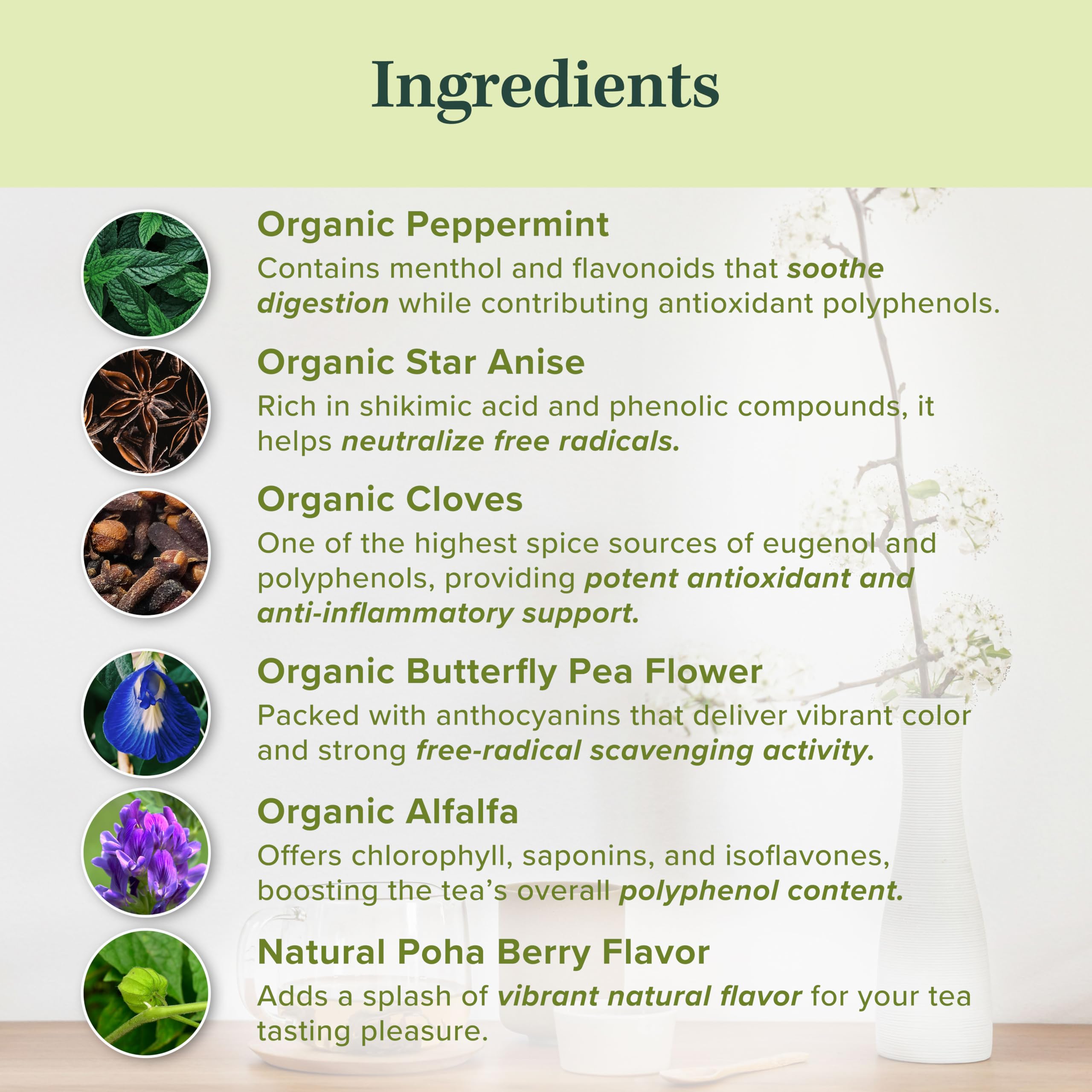 Organic Polyphenol Tea – Made in USA, Fair Trade, Sustainable Practices – 1 Pack of 25 Biodegradable Tea Bags