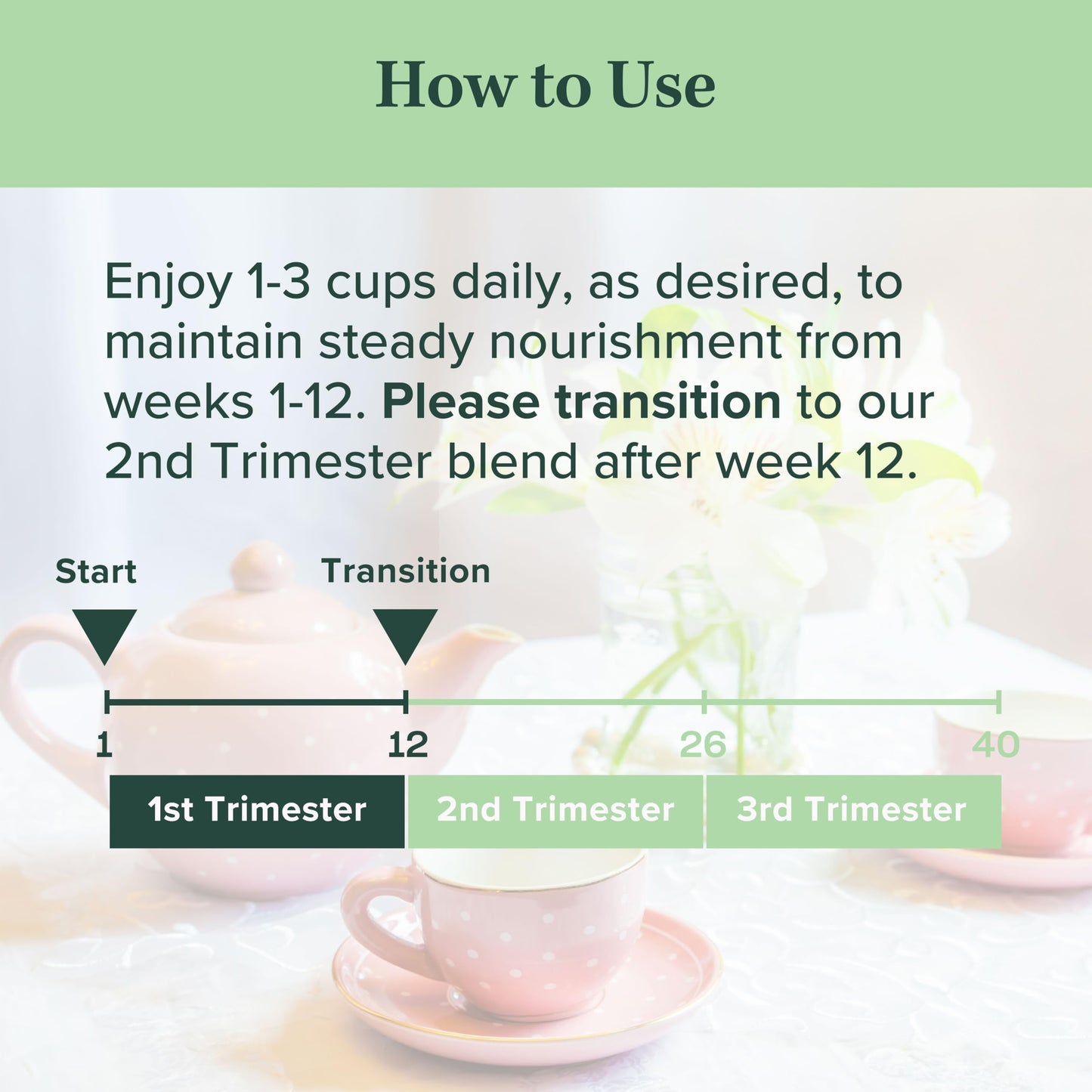 Jade Tea - Organic First Trimester Tea - Nurturing Pregnancy Tea | First Bloom | Gentle Morning Sickness Relief & Foundational Prenatal Nutrition | Caffeine-Free | Made In USA