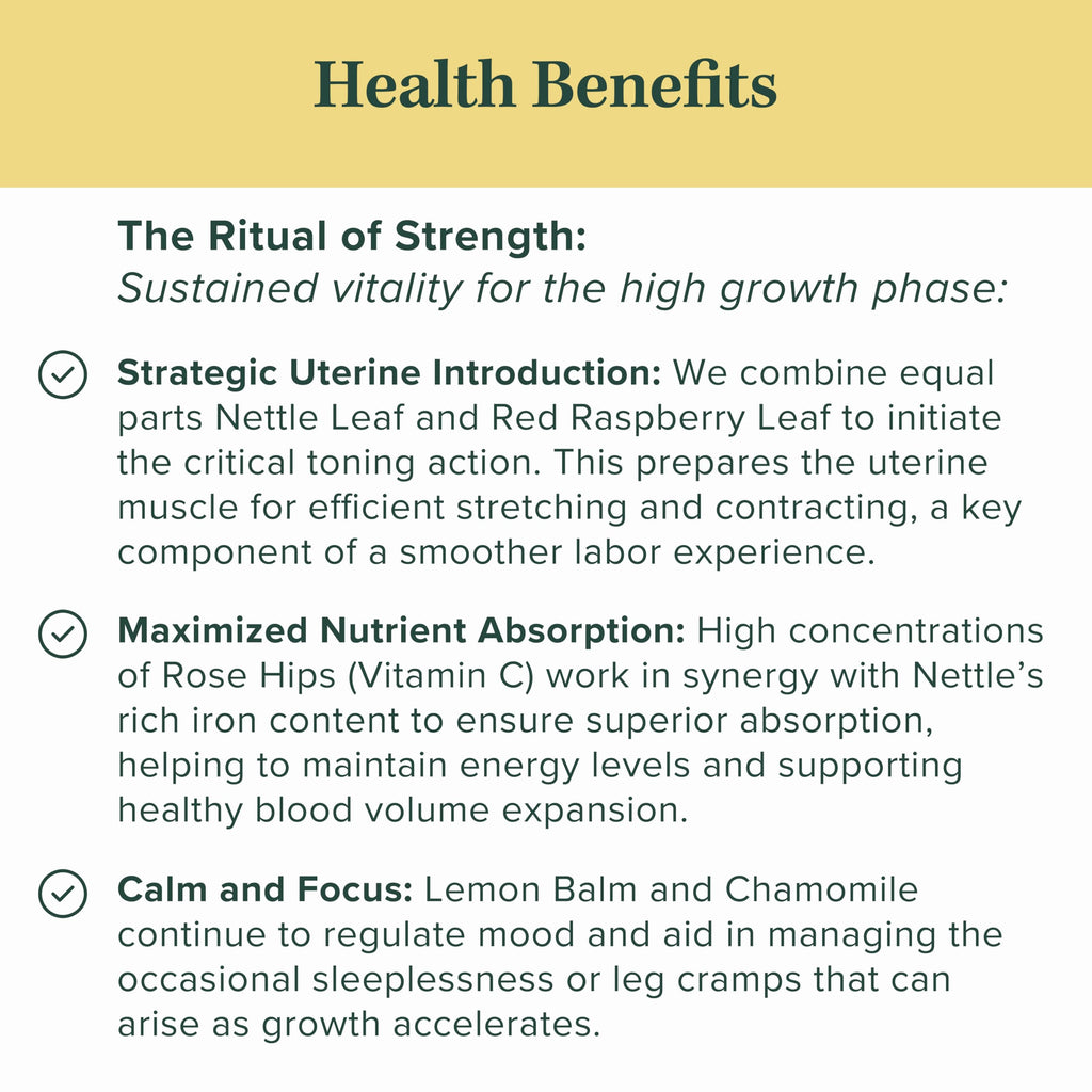 Jade Tea - Organic Second Trimester Pregnancy Tea | Uterine Toning Prep & Sustained Prenatal Mineral Support | Caffeine-Free, Fair Trade, Sustainable, Made In USA